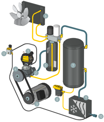 SXC component layout