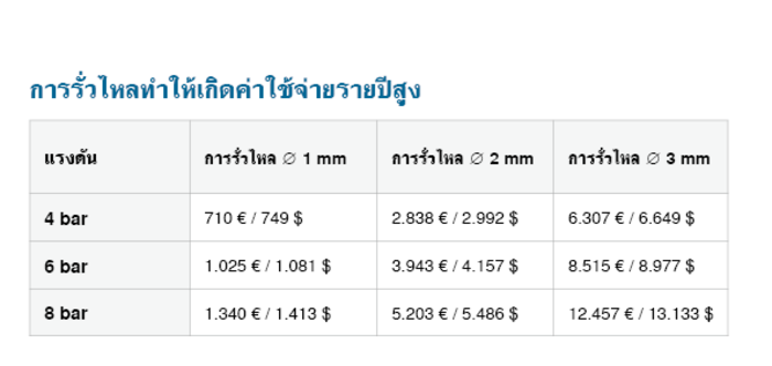 การรั่วไหลนั้นอาจทำให้เกิดความสูญเสียที่มากถึง €12,457 ต่อปี