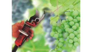 คอมเพรสเซอร์ชนิดลูกสูบสำหรับอุตสาหกรรม จาก Kaeser ในอุตสาหกรรมผลิตไวน์